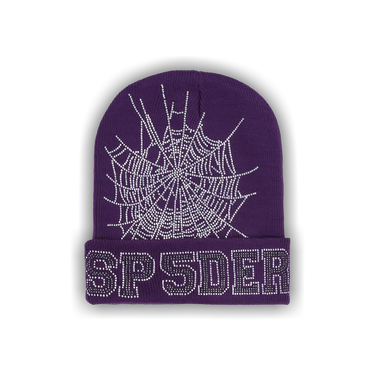 SP5DER WEB BEANIE